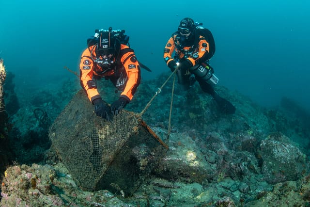 Hyundai και Healthy Seas γιορτάζουν 5 χρόνια συνεργασίας